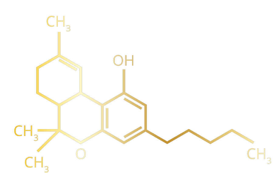 terpene diagram